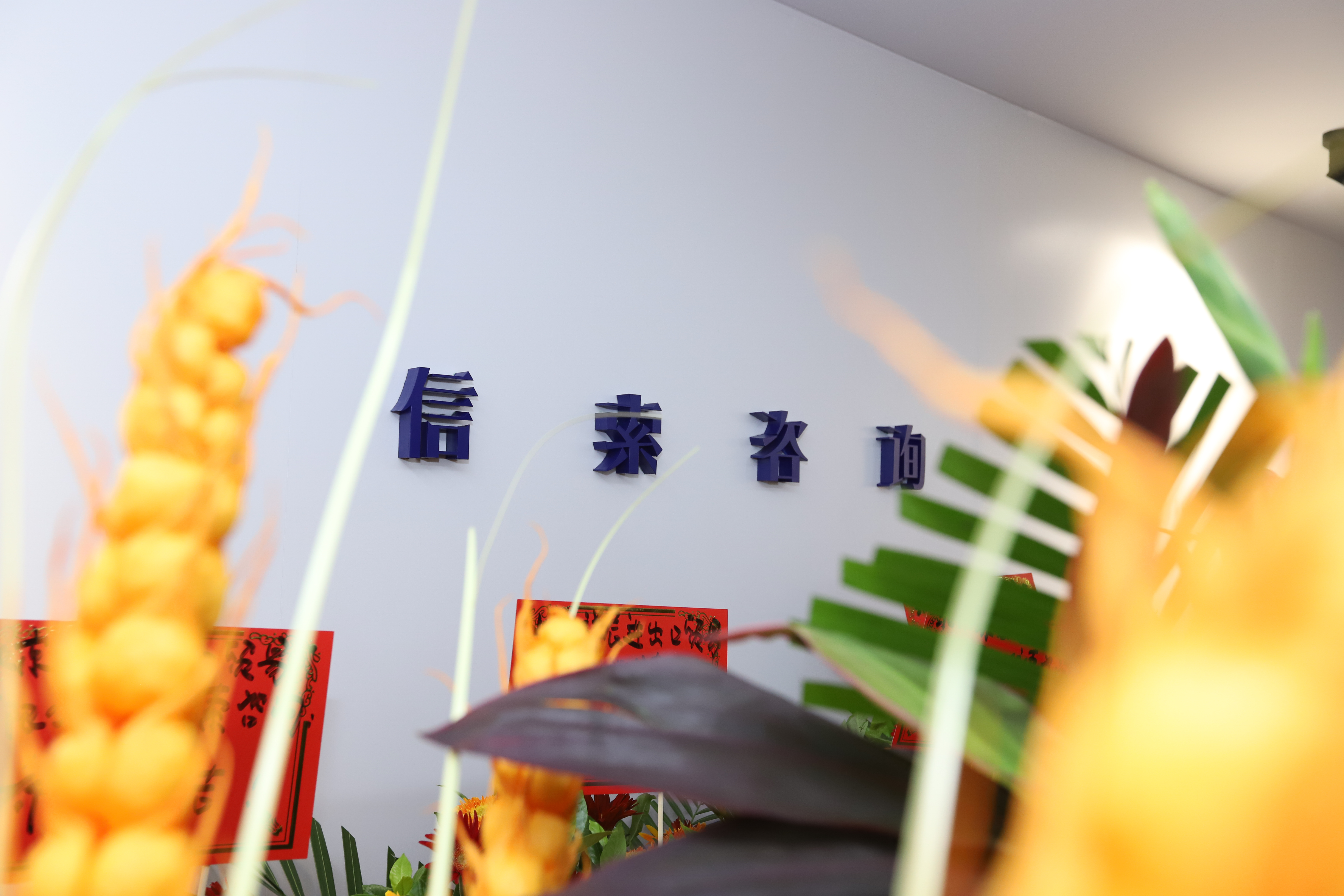 币游·国际(中国)官方网站